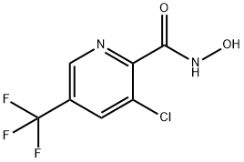 3-Chloro-N-hydroxy-5-(trifluoromethyl)-2-pyridinecarboxamide Struktur