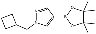 1-(cyclobutylmethyl)-4-(4,4,5,5-tetramethyl-1,3,2-dioxaborolan-2-yl)-1H-pyrazole|1-(CYCLOBUTYLMETHYL)-4-(4,4,5,5-TETRAMETHYL-1,3,2-DIOXABOROLAN-2-YL)-1H-PYRAZOLE