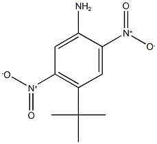 4-tert-butyl-2,5-dinitroaniline Struktur