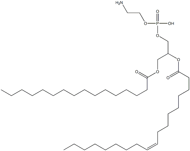1-palmitoyl-2-oleoylphosphatidylethanolamine, 10015-88-0, 結(jié)構(gòu)式