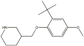 3-(2-tert-butyl-4-methoxyphenoxymethyl)piperidine Struktur