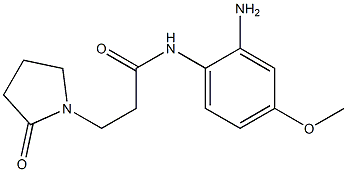N-(2-amino-4-methoxyphenyl)-3-(2-oxopyrrolidin-1-yl)propanamide Struktur