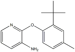 2-(2-tert-butyl-4-methylphenoxy)pyridin-3-amine Structure
