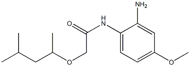 N-(2-amino-4-methoxyphenyl)-2-[(4-methylpentan-2-yl)oxy]acetamide Struktur