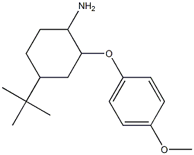 4-tert-butyl-2-(4-methoxyphenoxy)cyclohexan-1-amine Struktur