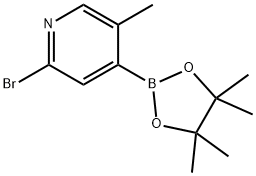 2-Bromo-5-methylpyridine-4-boronic acid pinacol ester Structure