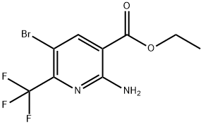  化學(xué)構(gòu)造式
