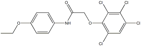 N-(4-ethoxyphenyl)-2-(2,3,4,6-tetrachlorophenoxy)acetamide Struktur