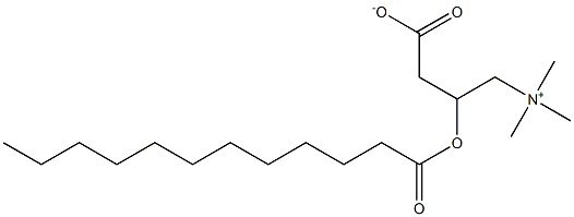 Lauroyl L-Carnitine Struktur