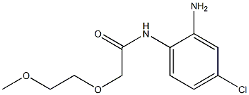 N-(2-amino-4-chlorophenyl)-2-(2-methoxyethoxy)acetamide Struktur