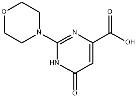 2-Morpholino-6-oxo-1,6-dihydropyrimidine-4-carboxylic acid Struktur