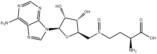 SAHO Structure