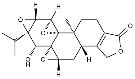  化學(xué)構(gòu)造式