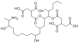 2-[[(5R,6R,7S,9S,11R,18R,19S)-19-amino-6-(3,4-dicarboxybutanoyloxy)-11 ,18-dihydroxy-5,9-dimethyl-icosan-7-yl]oxycarbonylmethyl]butanedioic a cid Struktur