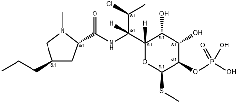 24729-96-2 結(jié)構(gòu)式