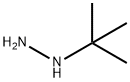 tert-Butyl hydrazine Struktur