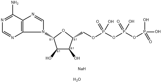 ADENOSINE 5'-TRIPHOSPHATE DISODIUM SAL&