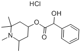 EUCATROPINE HYDROCHLORIDE Structure