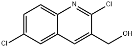 2,6-DICHLOROQUINOLINE-3-METHANOL|2,6-二氯喹啉-3-甲醇