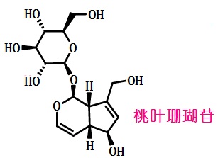 桃葉珊瑚苷結構式