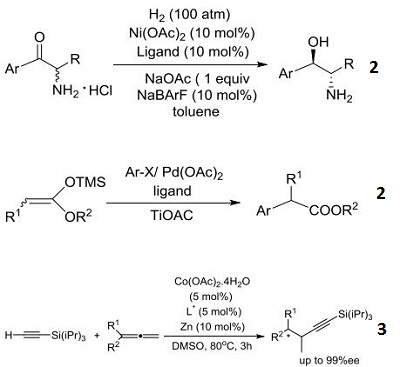 addition of silylacetylenes to 1,1-disubstitued allenes addition of silylacetylenes to 1,1-disubstitued allenes