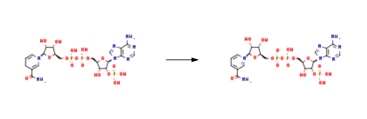 Triphosphopyridine nucleotide synthesis Triphosphopyridine nucleotide synthesis