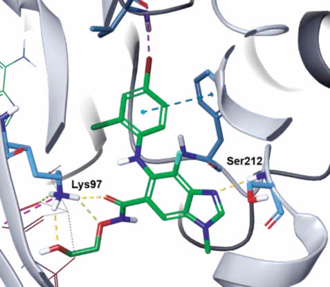 Figure 3. Co-crystal structure of selumetinib–MEK1– AMP–PNP (PDB ID: 4U7Z). Figure 3. Co-crystal structure of selumetinib–MEK1– AMP–PNP (PDB ID: 4U7Z).