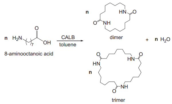 8-Aminooctanoic acid 8-Aminooctanoic acid
