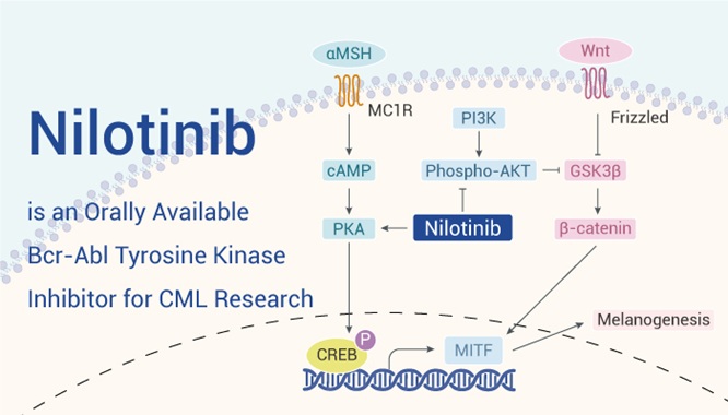 mechanism of Nilotinib