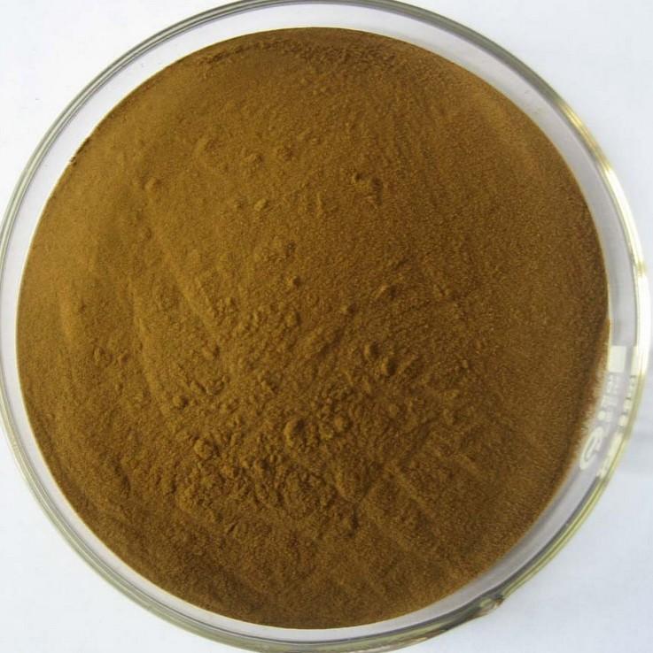 100% natural andrographis paniculata p.e extract kalmegh extract 10:1
