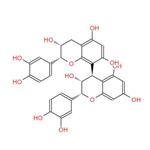 PROCYANIDIN B2; Grape seed extract