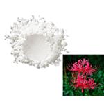 Lycorine hydrochloride pictures