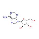 58-61-7 Adenosine