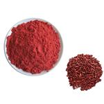 Red Yeast Rice P.E. pictures