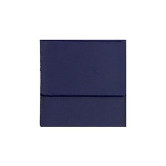 SOLVENT VIOLET 13