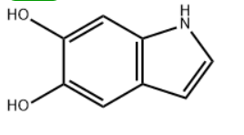 5,6-dihydroxyindole