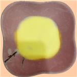 Clofenamic acid