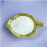 CMP MONOHYDRATE