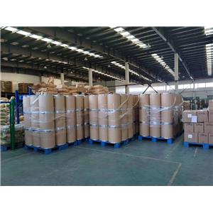 Ampicillin Sodium
