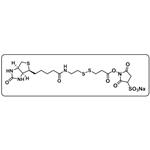 Biotin-SS-Sulfo-NHS ester pictures