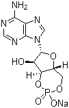 Adenosine 3',5'-cyclic monophosphate sodium salt；Cyclic AMP Na; 3:5-CAMP Na; 3',5'-CYCLIC AMP Na