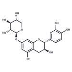 Catechin-7-O-xyloside pictures
