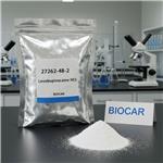 27262-48-2 Levobupivacaine HCl