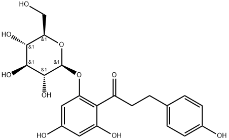 Phlorizin