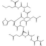 Octapeptide 2 pictures