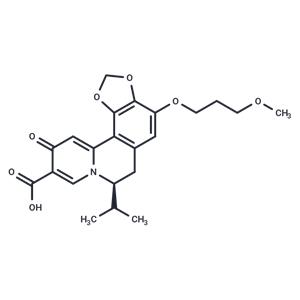 HBV-IN-13
