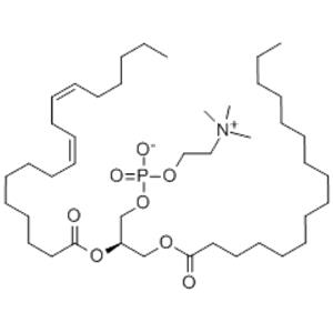 Lecithin