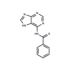 N4-Bz-adenine