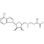 29908-03-0 S-Adenosyl-L-methionine