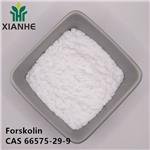 Forskolin pictures